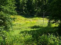  (C) 2008 by G. Doczkal, Blumenwiese, Waldprechtstal bei Freiolsheim, Baden-Württemberg, Germany