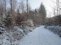  (C) 2009 by G. Doczkal, Winter am Eichelberg, 48.852245°N/8.326628°E, 1.68  Km von Waldprechtsweier, Baden-Württemberg, Germany