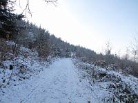 (C) 2009 by G. Doczkal, Winter am Eichelberg, 48.848919°N/8.328969°E, 1.95  Km von Winkel, Baden-Württemberg, Germany