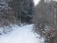  (C) 2009 by G. Doczkal, Winter am Eichelberg, 48.847813°N/8.326919°E, 1.78  Km von Winkel, Baden-Württemberg, Germany