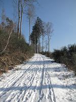  (C) 2009 by G. Doczkal, Winter am Eichelberg, 48.837677°N/8.327635°E, 0.94  Km von Winkel, Baden-Württemberg, Germany