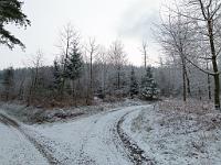  (C) 2012 by G. Doczkal, 
Winter am Eichelberg, 
48.852010°N/8.328154°E, Waldprechtsweier, Baden-Wuerttemberg, Germany