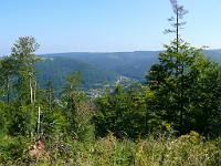  (C) 2008 by G. Doczkal, Blick ins Albtal, Pfahlwald bei Bernbach, Baden-Württemberg, Germany