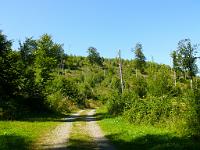  (C) 2008 by G. Doczkal, Der Tannschachberg, Pfahlwald bei Bernbach, Baden-Württemberg, Germany