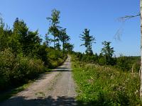  (C) 2008 by G. Doczkal, Der Sandweg, Mauzenberg bei Bernbach, Baden-Württemberg, Germany