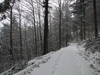  (C) 2010 by G. Doczkal, Winterwald, 48.834171°N/8.354221°E, 1.97  Km von Michelbach, Baden-Württemberg, Germany