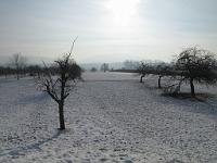  (C) 2010 by G. Doczkal, Winterimpressionen, 48.881153°N/8.309941°E, 1.73  Km von Malsch, Baden-Württemberg, Germany