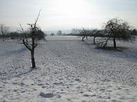  (C) 2010 by G. Doczkal, Winterimpressionen, 48.881153°N/8.309920°E, 1.73  Km von Malsch, Baden-Württemberg, Germany