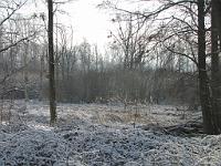  (C) 2010 by G. Doczkal, 
Winterimpressionen, 
48.876190°N/8.302633°E, 1.76  Km von Muggensturm, Baden-Württemberg, Germany