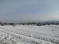  (C) 2010 by G. Doczkal, 
Winterimpressionen, 
48.876991°N/8.313078°E, 1.64  Km von Malsch, Baden-Württemberg, Germany
