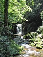  (C) 2010 by G. Doczkal, 
Wasserfall, 
48.713425°N/8.249755°E, 1.26  Km von Malschbach, Baden-Württemberg, Germany